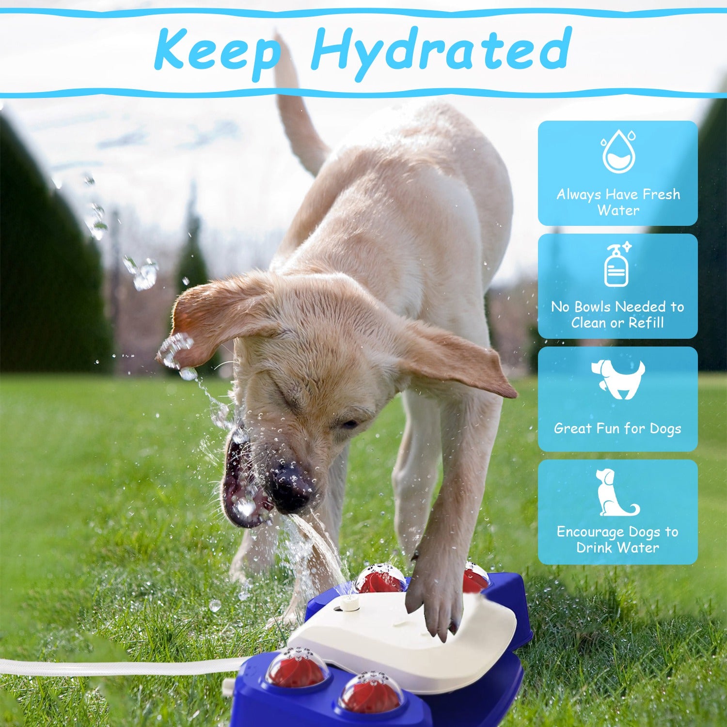Automatic Dog Water Fountain XL