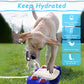 Automatic Dog Water Fountain XL