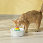 Ceramic Cat Dog Water Fountain