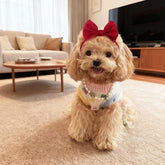 4Pcs Dog Bow Headband Grooming Set