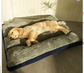 PurrClean Washable Pet Bed Pro