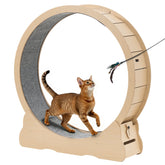 48in Cat Exercise Wheel Indoor Quiet