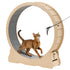 48in Cat Exercise Wheel Indoor Quiet
