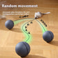 Electric Moving Mouse Cat Toy Ball