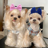 4Pcs Dog Bow Headband Grooming Set