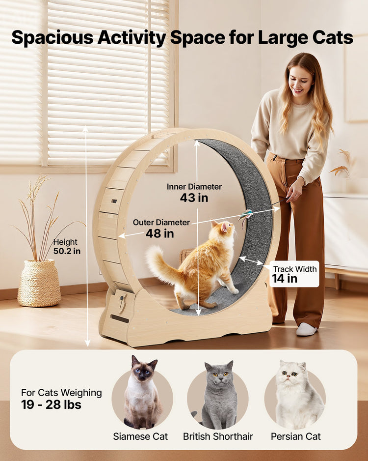 48in Cat Exercise Wheel Indoor Quiet