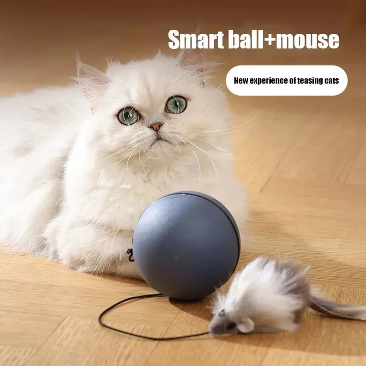 Electric Moving Mouse Cat Toy Ball
