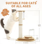 2 Layer Sisal Cat Scratching Post Toy
